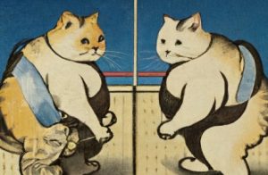 Szumózó macskákkal a disztópia felé? / Are we inching towards dystopia one sumo cat at a time?